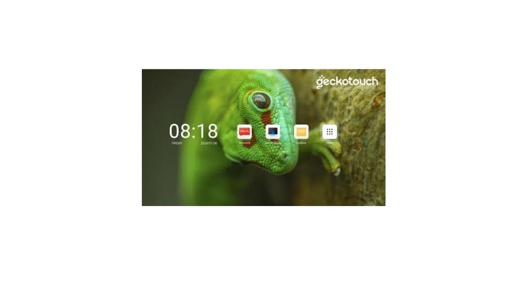 Светодиодный LED-экран Geckotouch 169''