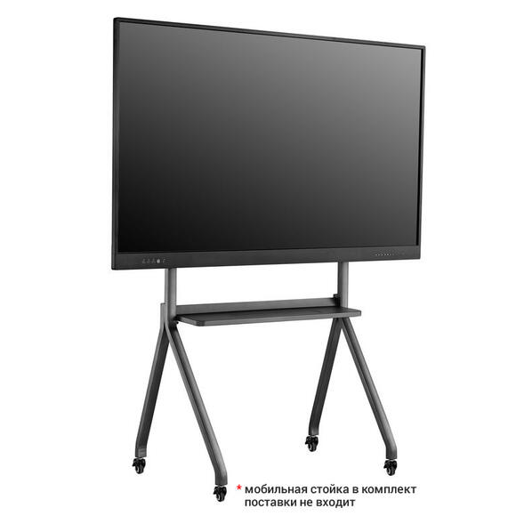 Интерактивный дисплей Riotouch LT 65: ИК-технология, 65 дюймов, 4K, 20 касаний