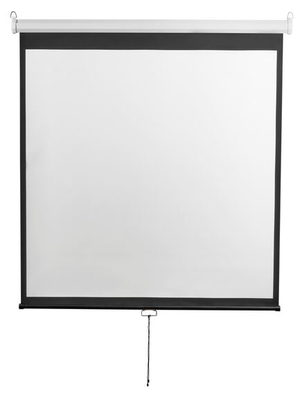 Экран настенный Digis DSOD-4304 (Optimal-D, формат 4:3, 120", 248x190, рабочая поверхность 240x180, 
