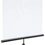Экран на штативе Digis DSKC-1102 (Kontur-С, формат 1:1, 100", 180*180, MW)