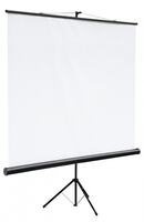 Экран на штативе Digis DSKC-1102 (Kontur-С, формат 1:1, 100", 180*180, MW)
