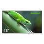 Профессиональные дисплей "Geckotouch 43DH"