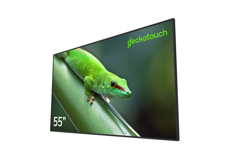 Профессиональные дисплей "Geckotouch 55DH"