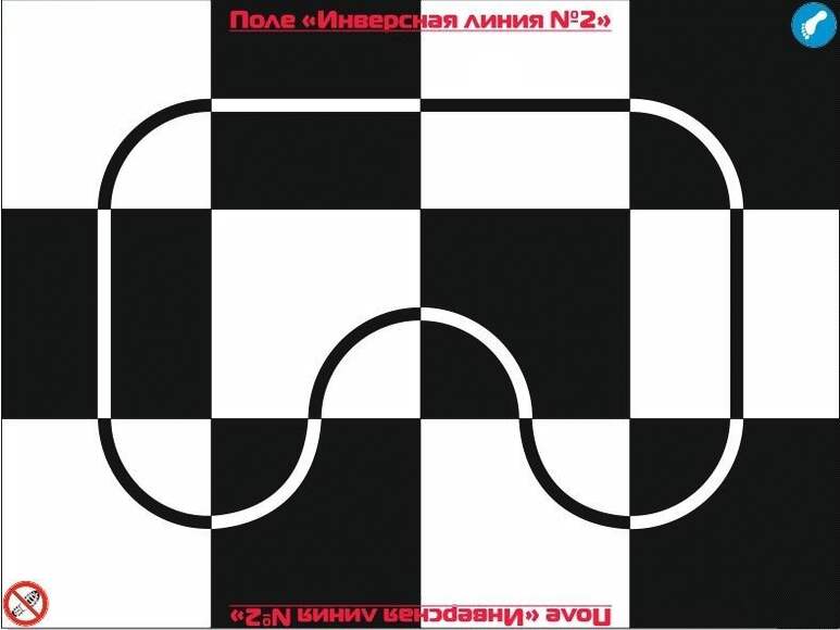 Поле шахматное с инверсной линией 2430*3240 мм, шт