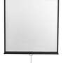 Экран настенный Digis DSOD-1108 (Optimal-D, формат 1:1, 167", 308x309, рабочая поверхность 300x300, 