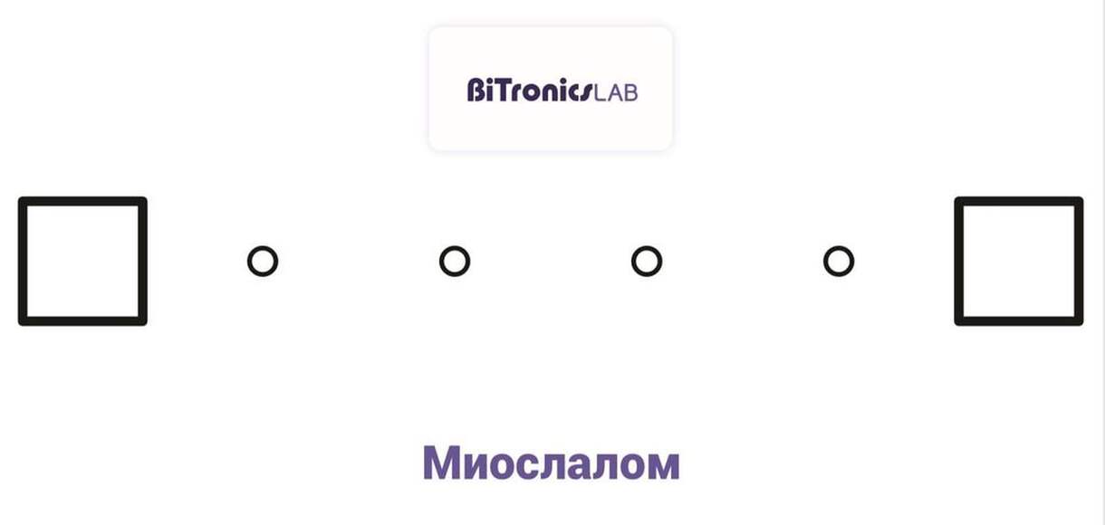 Поле для соревнования «Миослалом» BiTronics Lab