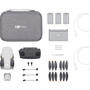Квадрокоптер DJI Mini SE Fly More Combo