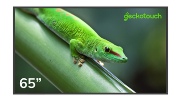 Профессиональные дисплей "Geckotouch 65DF"
