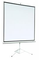 Экран на штативе Digis DSKA-1104 (Kontur-A, формат 1:1, 118", 220*220, MW)